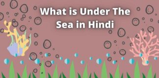 What is Under The Sea in Hindi – Full Information Under The Sea
