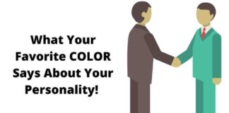 Color Phycology – What Your Favorite Color says About Your Personality Color Phycology