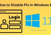Disable Pin in Windows 11