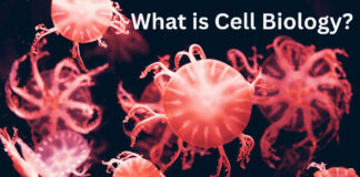 What is Cell Biology? Importance, History, Key Components What is Cell Biology